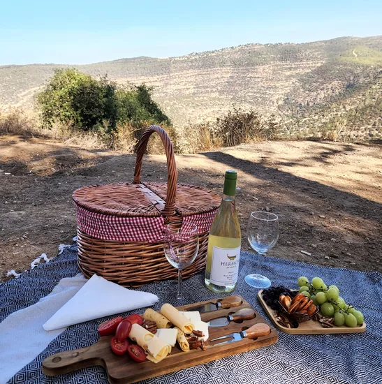 סלסלת פיקניק